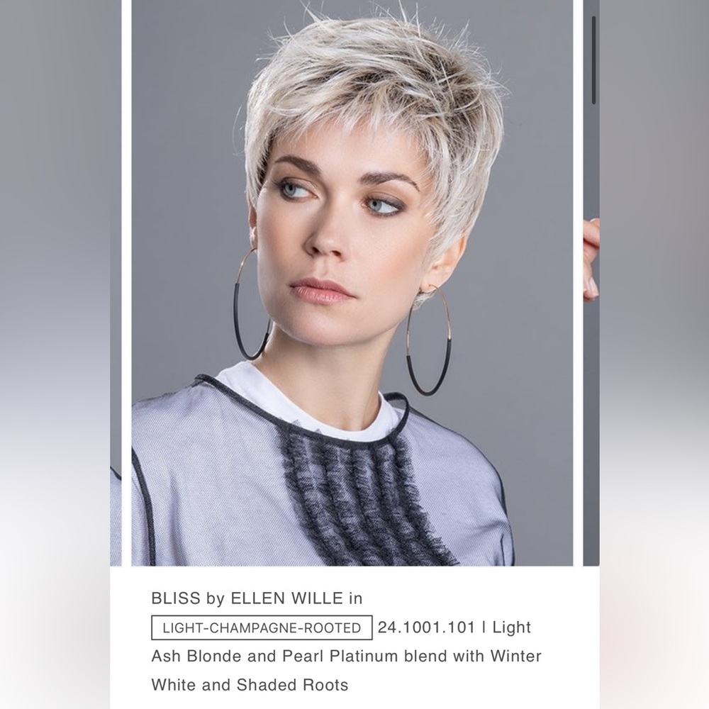 BLISS by Ellen Wille - salt and pepper wig -retail $300